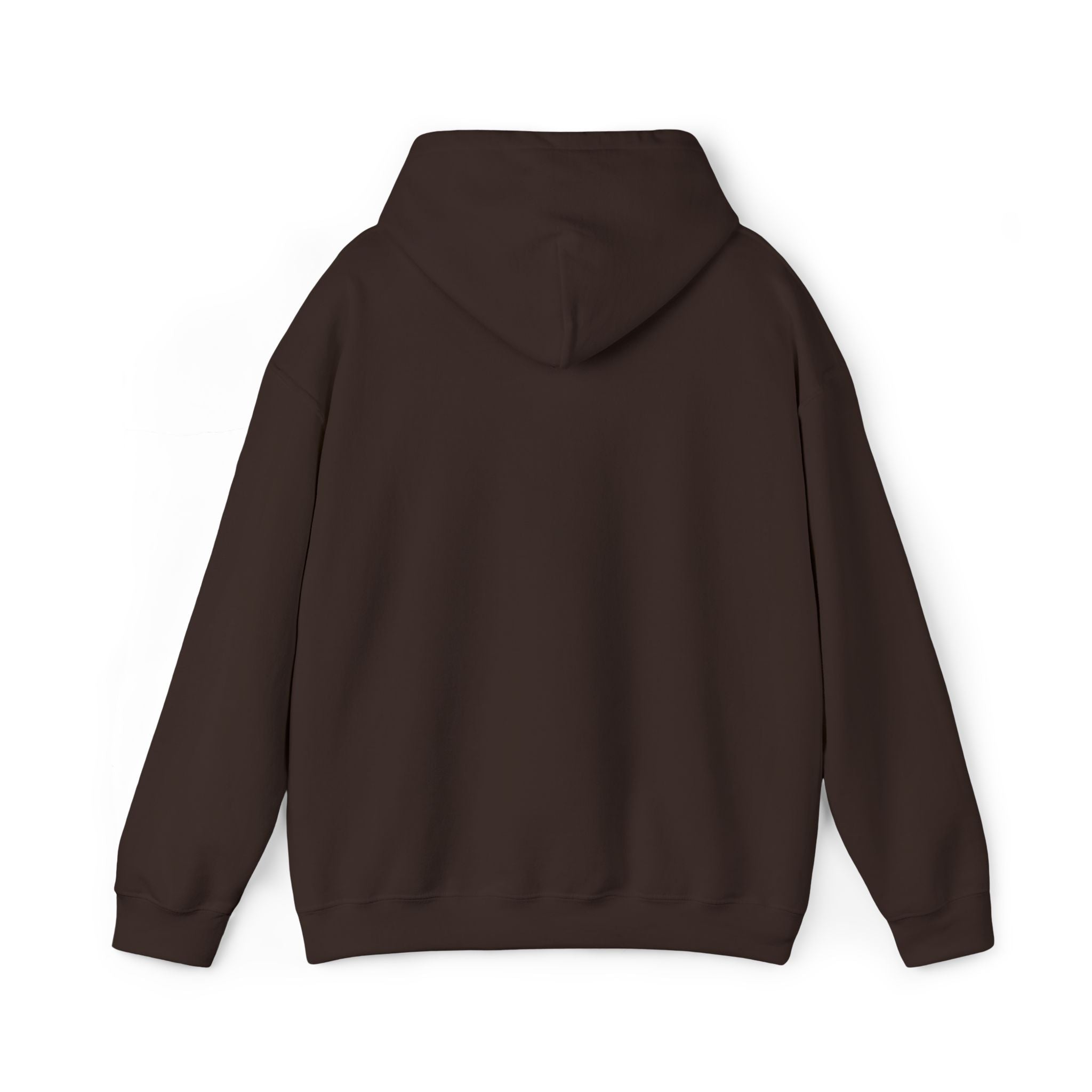 Jackson Heights Hoodie – Queens, New York
