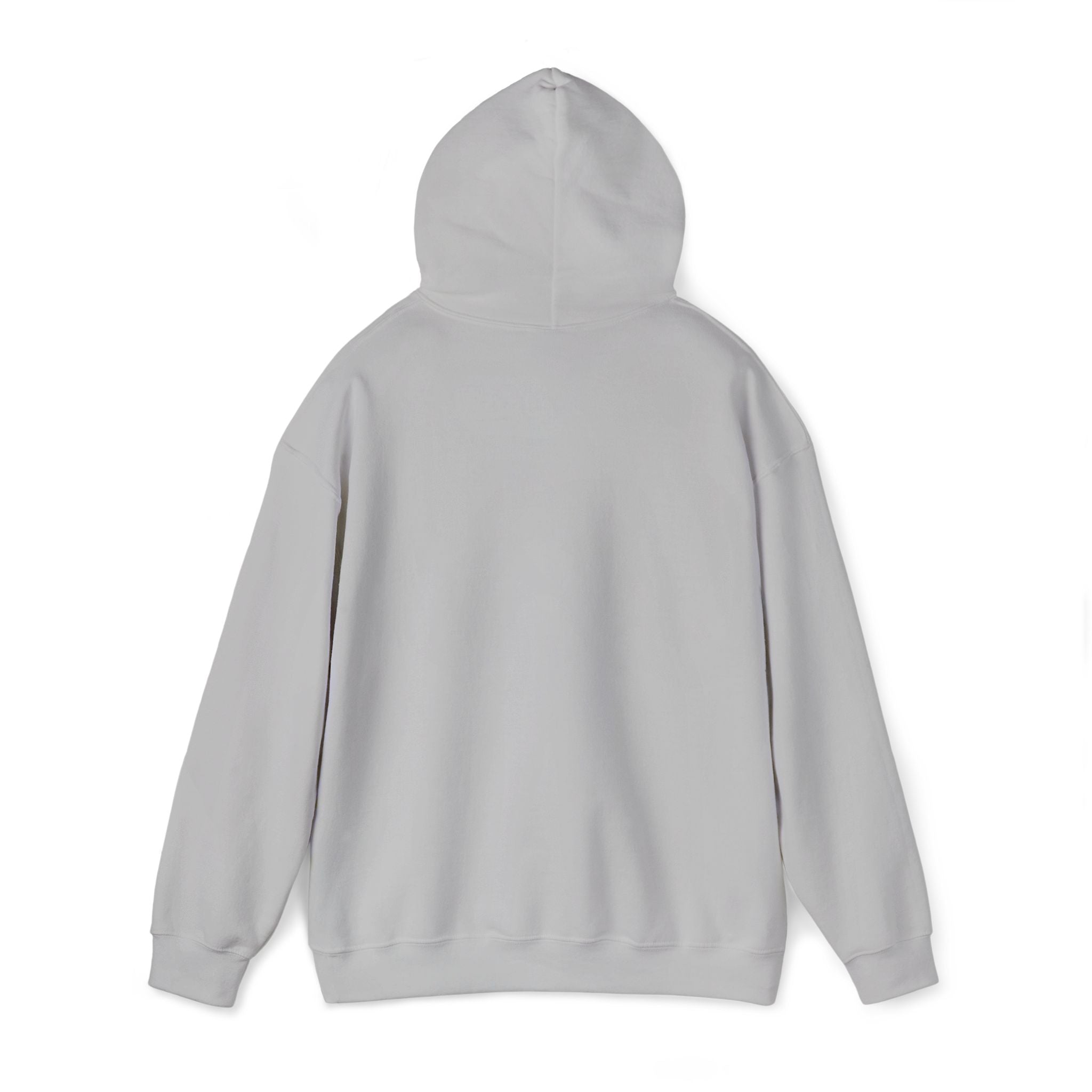 Jackson Heights Hoodie – Queens, New York