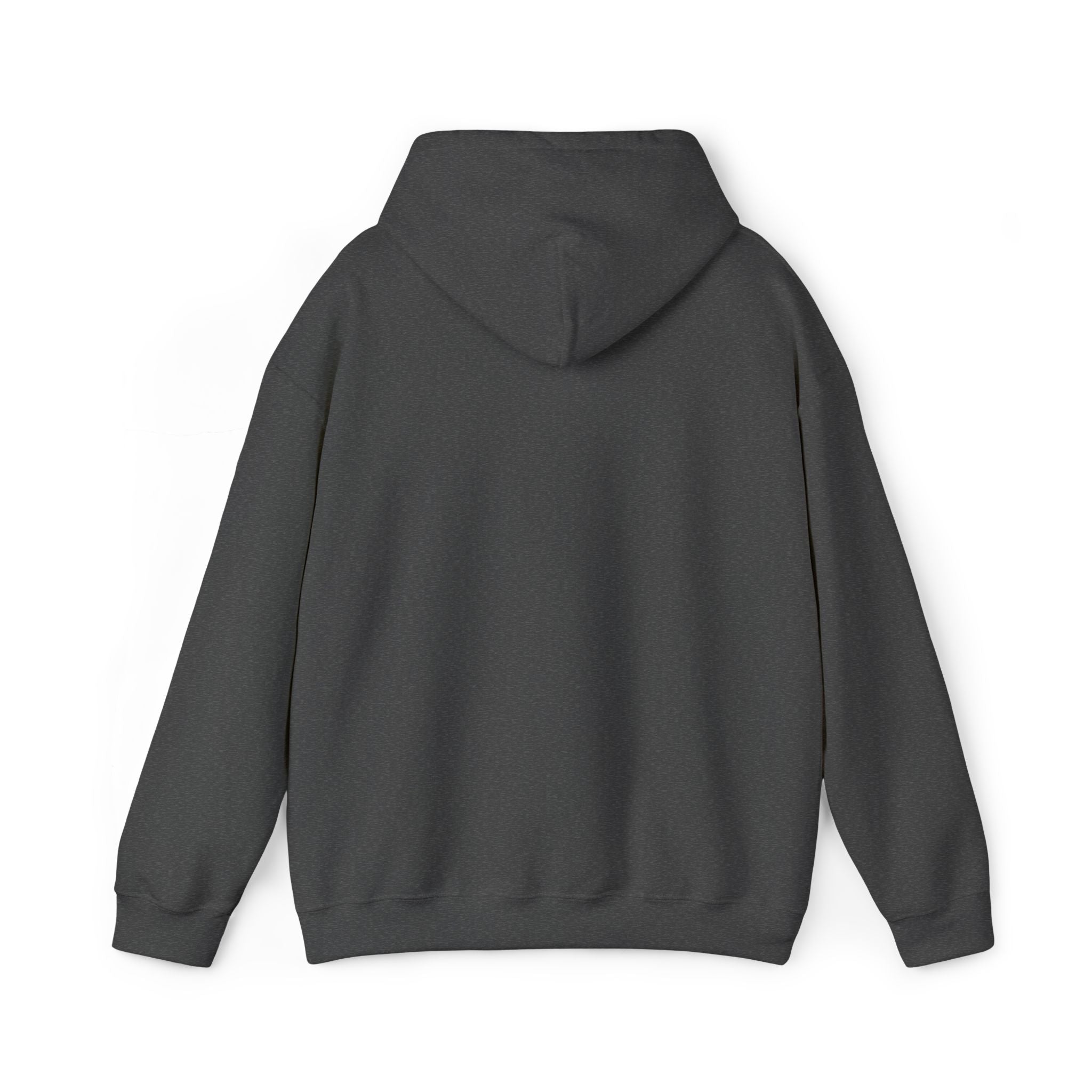Jackson Heights Hoodie – Queens, New York
