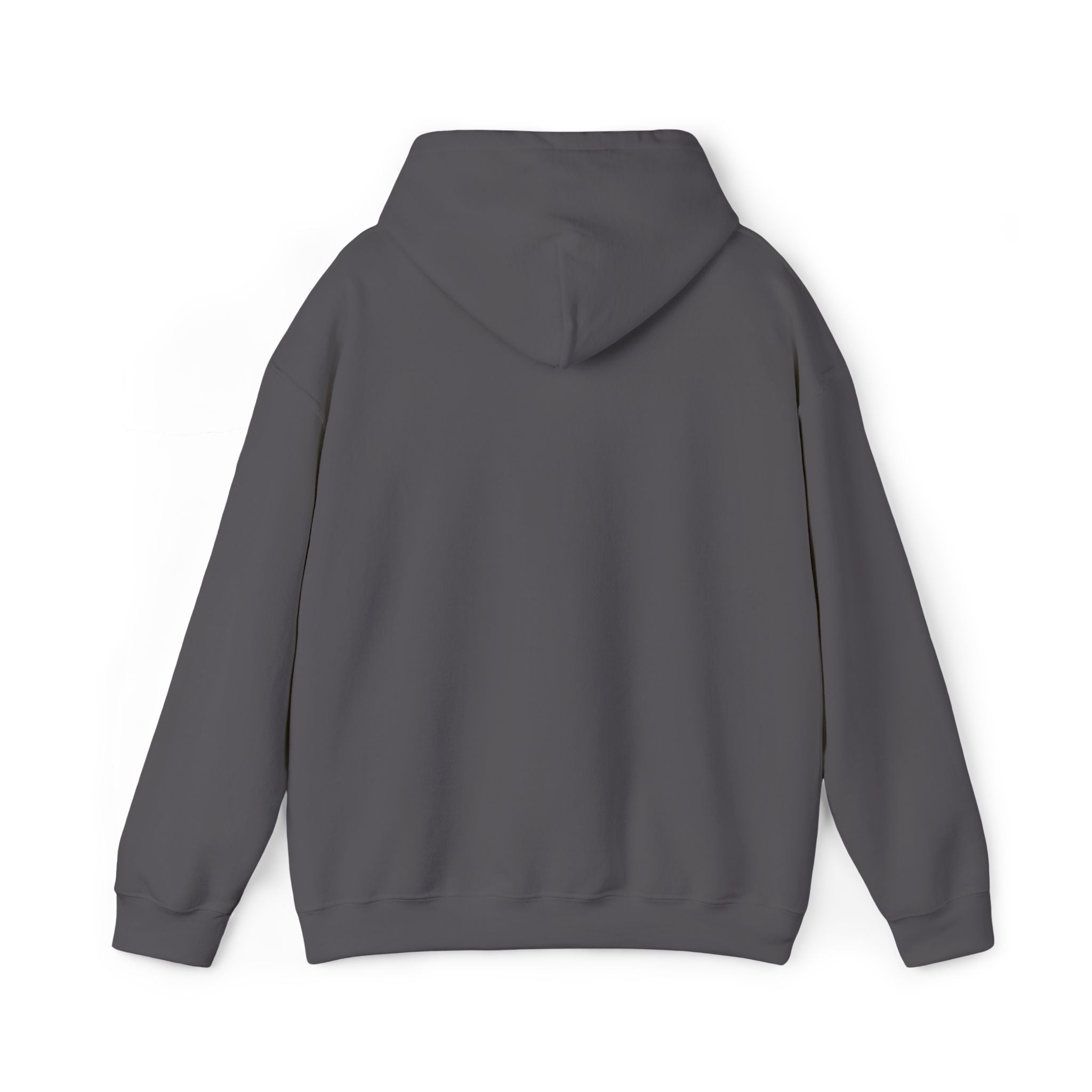 Jackson Heights Hoodie – Queens, New York