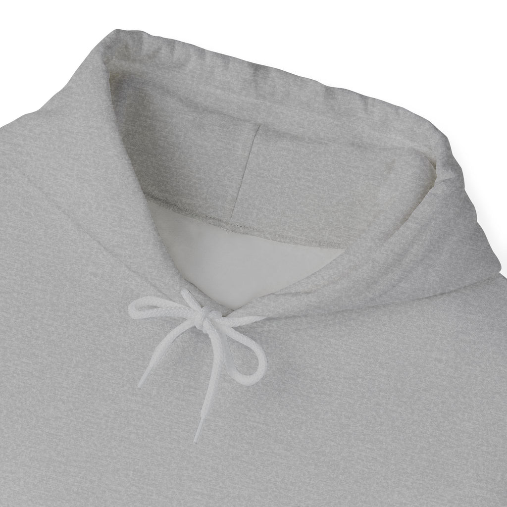 Jackson Heights Hoodie – Queens, New York