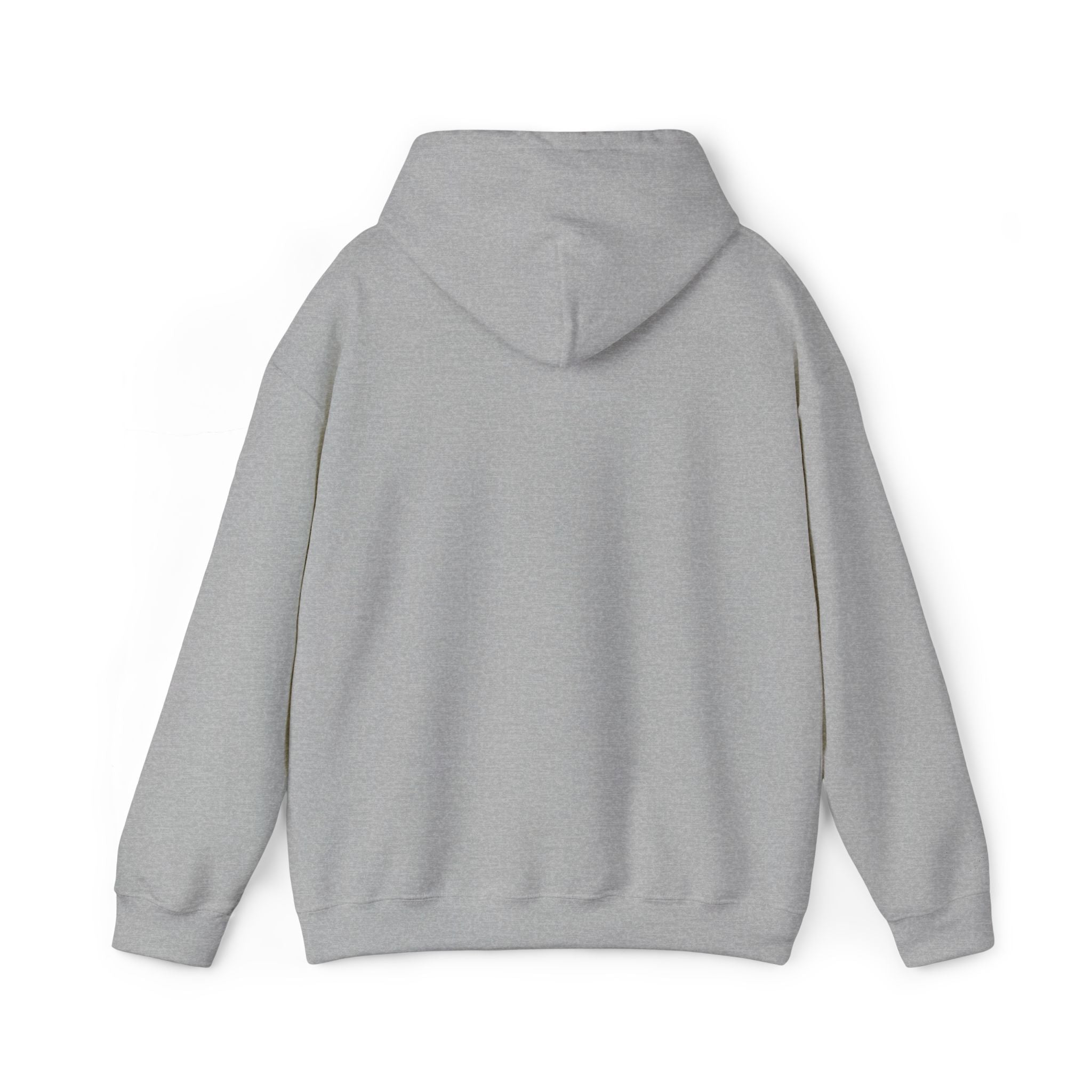 Jackson Heights Hoodie – Queens, New York