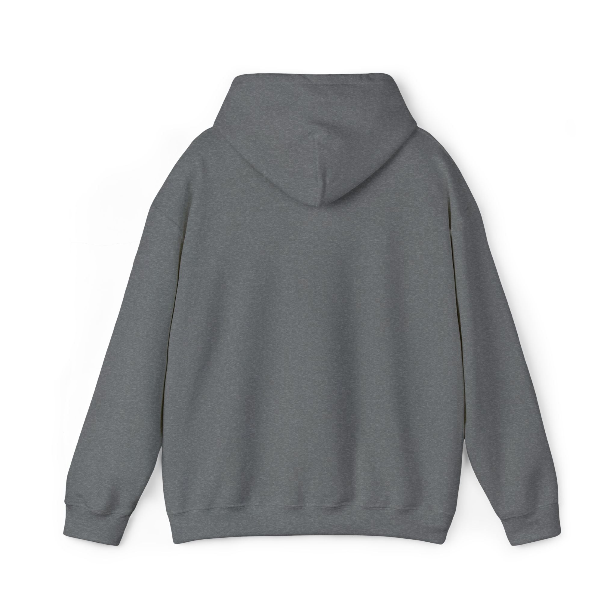 Jackson Heights Hoodie – Queens, New York